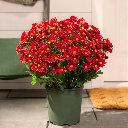 💥Last Day Each- Artificial Outdoor Sunset Mums Flowers -  Waterproof, Windproof