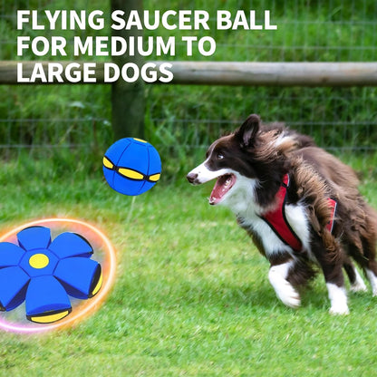 🔥 Final Hours: 60% OFF — Magic UFO Metaball for Kids & Pets | Bouncy Ball + Flying Saucer Fun