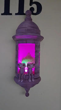 ✨Twin Coquí Harmony 🐸🐸