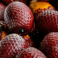 Seurico™ Honey - Infused Lip - Glow Oil