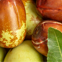 Seurico™ Honey - Infused Lip - Glow Oil