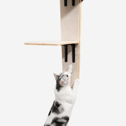 Sherman Door Cat Tree Basic