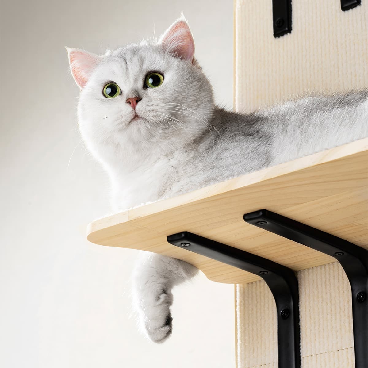 Sherman Door Cat Tree Basic