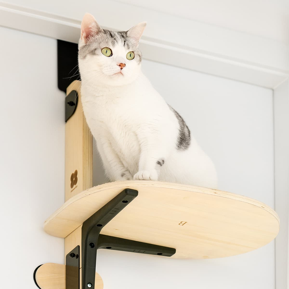 Sherman Door Cat Tree Advanced
