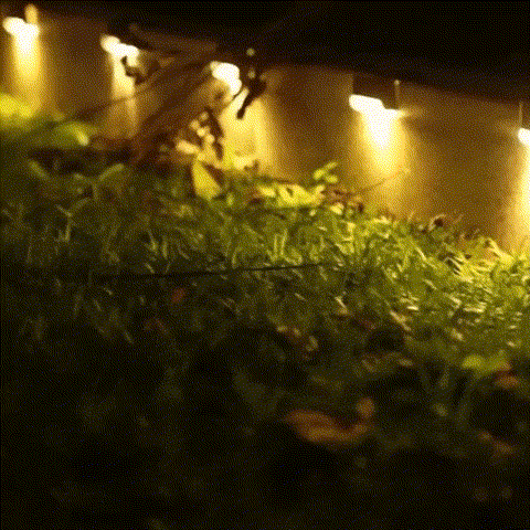 Kaliiqo™ – Deck Light Pack Automatically ON/OFF💡 BUY 16 Pcs GET 50% OFF