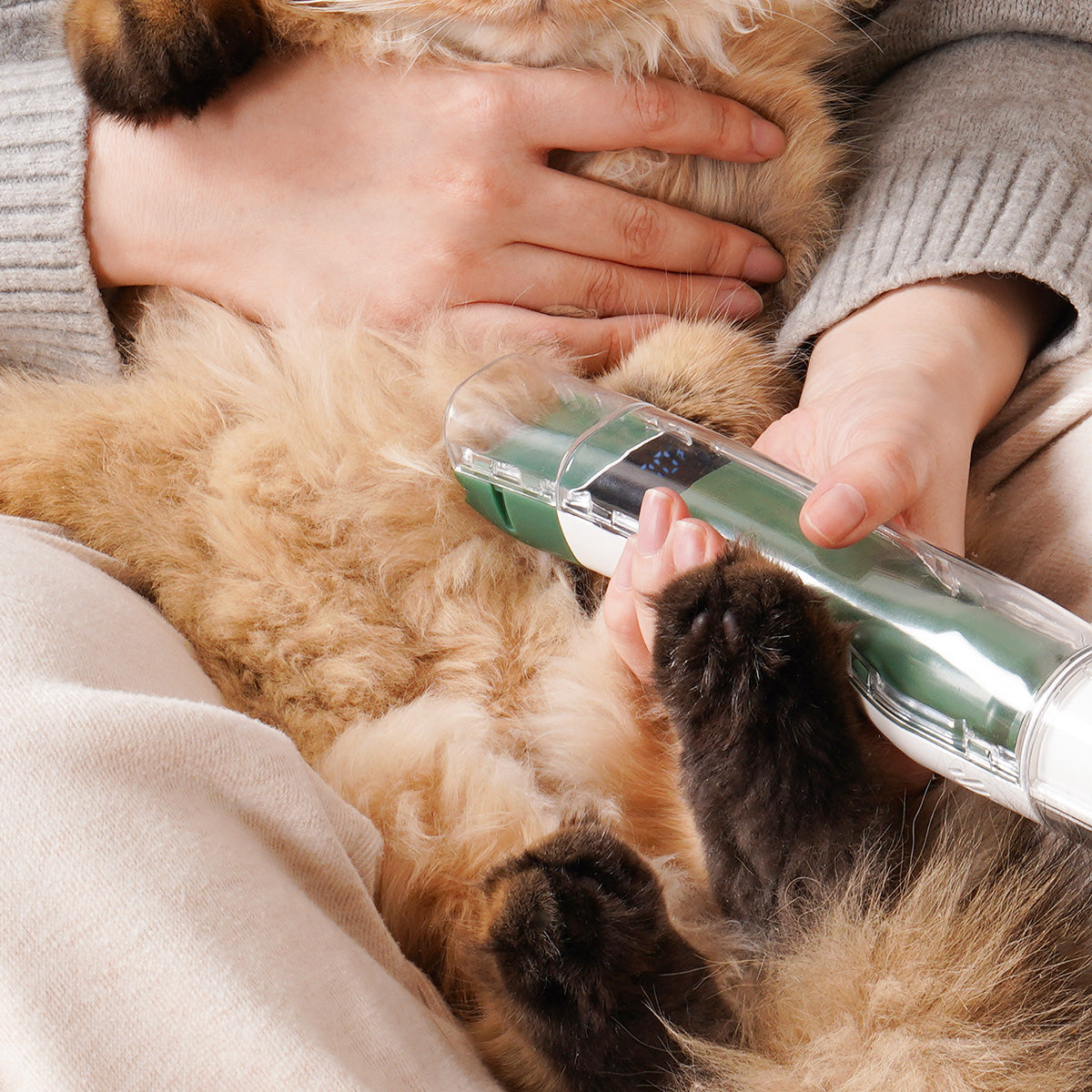 V1 Portable Pet Grooming Vacuum Kit