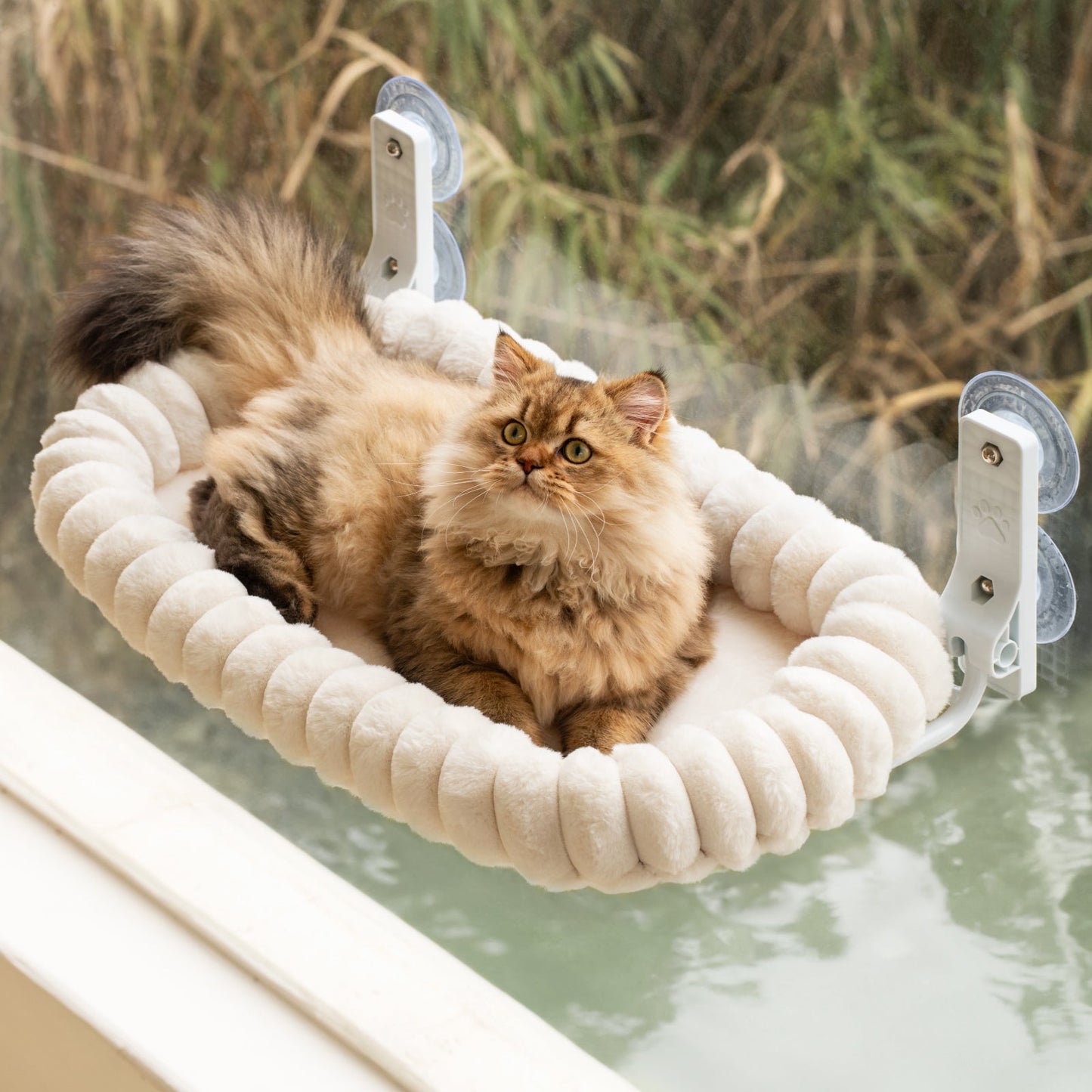 Aspen Foldable Cat Window Perch Pro