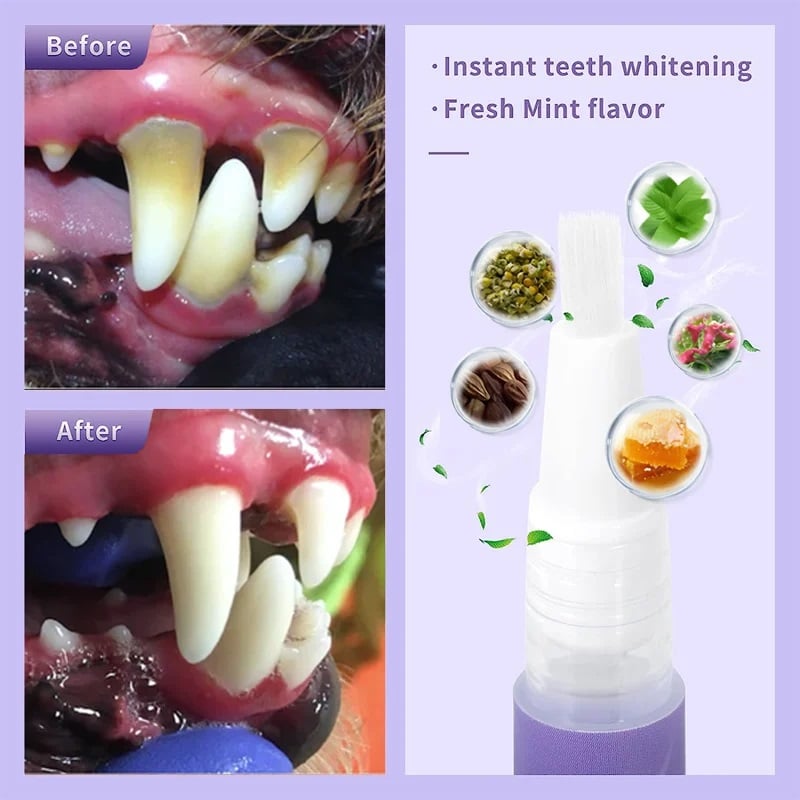 Seurico™ Pet Oral Repair Gel - End Pet Oral Nightmares, Revitalize Life!🐾